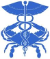 CRISP - Chesapeake Regional Information System for our Patients