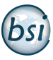 BSI - Best Security Industries