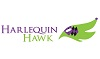 Harlequin Hawk Company
