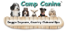 Camp Canine