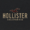 Hollister Co.