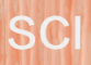 Sheidow Consulting, Inc.