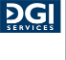 DGI Services, LLC