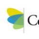 Cooper Consulting