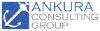 Ankura Consulting Group