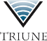 Triune Financial Partners, LLC