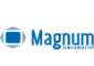 Magnum Semiconductor