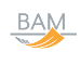 BAM Advisor Services