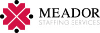 Meador Staffing of Austin