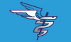 MedTrust Staffing