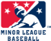 National Association of Professional Baseball Leagues