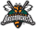 Augusta GreenJackets Professional Baseball