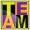 Career TEAM LLC