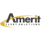 Amerit Fleet Solutions